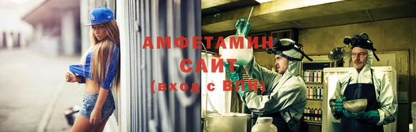 тгк Дмитриев