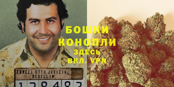 тгк Дмитриев