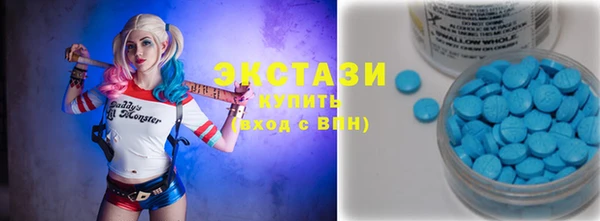 тгк Дмитриев