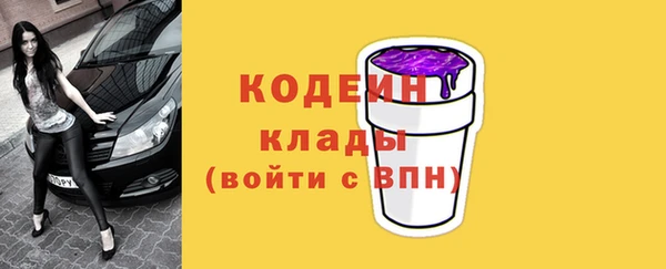 тгк Дмитриев