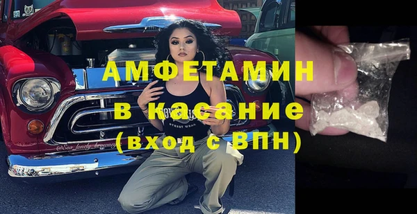 тгк Дмитриев
