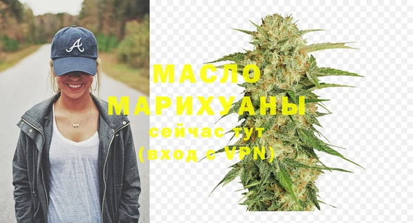 тгк Дмитриев