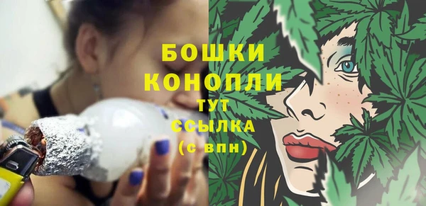 тгк Дмитриев