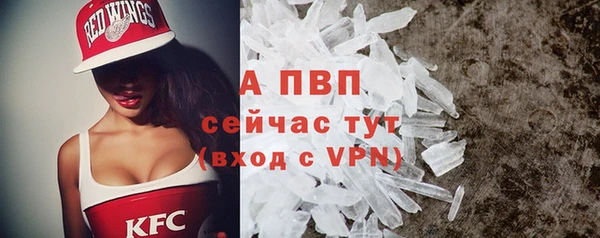spice Дмитров