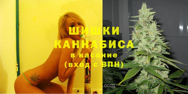 тгк Дмитриев