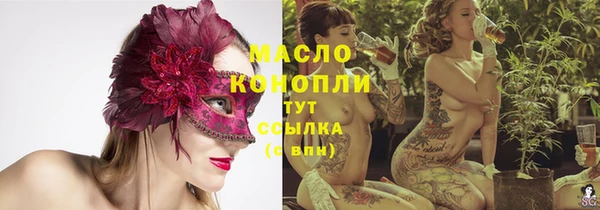тгк Дмитриев