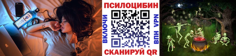 Псилоцибиновые грибы MAGIC MUSHROOMS  Купить закладки  Михайлов 