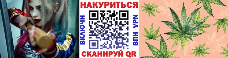 Купить где  Михайлов  Конопля Amnesia 